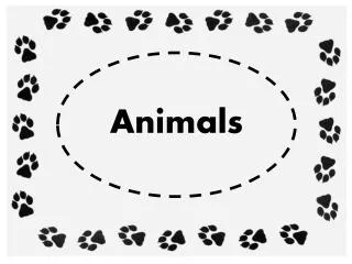 Animals