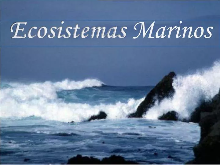 ecosistemas marinos