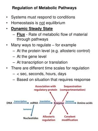 Regulation of Metabolic Pathways