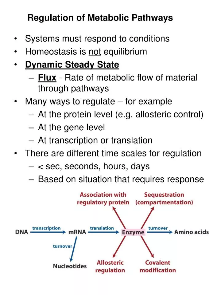 regulation of metabolic pathways