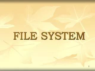 file system