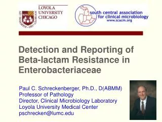 Detection and Reporting of Beta-lactam Resistance in Enterobacteriaceae