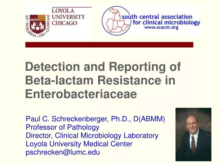detection and reporting of beta lactam resistance in enterobacteriaceae