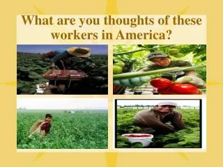 What are you thoughts of these workers in America?