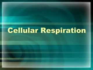 Cellular Respiration