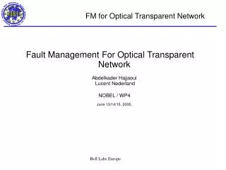 FM for Optical Transparent Network