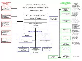 CENTRAL FINANCIAL OPERATIONS - Deputy CFOs