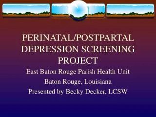 PERINATAL/POSTPARTAL DEPRESSION SCREENING PROJECT