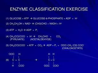 ENZYME CLASSIFICATION EXERCISE