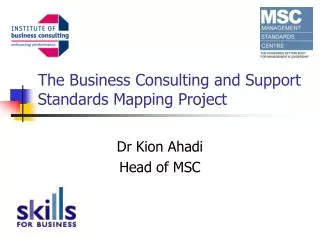 The Business Consulting and Support Standards Mapping Project