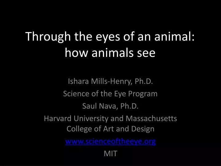through the eyes of an animal how animals see