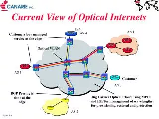 Current View of Optical Internets