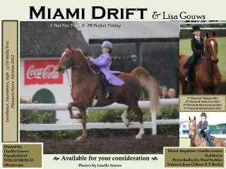 Miami Drift &amp; Lisa Gouws