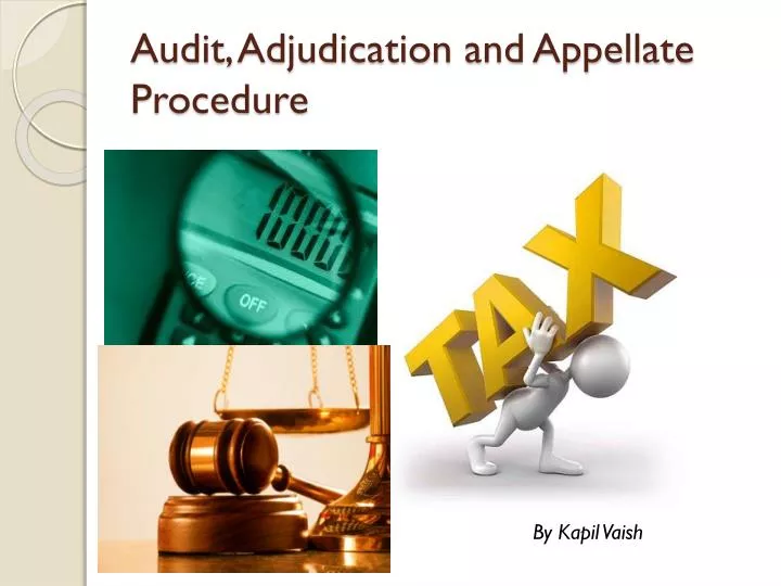 audit adjudication and appellate procedure