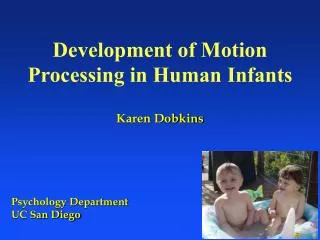 Development of Motion Processing in Human Infants Karen Dobkins