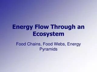 energy flow through an ecosystem
