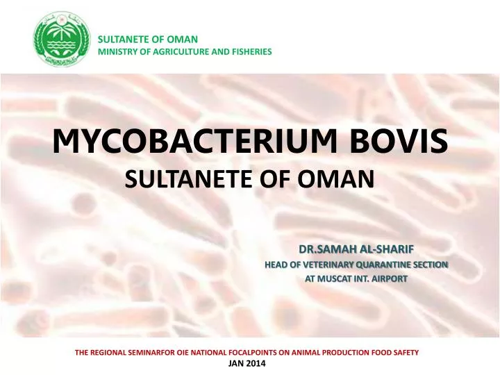 mycobacterium bovis sultanete of oman