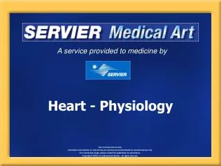 Heart - Physiology