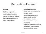 PPT - components of labour PowerPoint Presentation, free download - ID ...