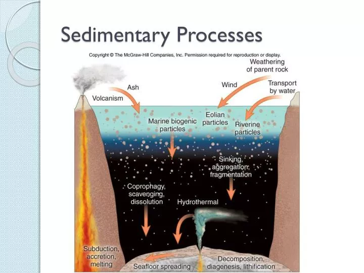 sedimentary processes