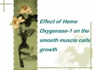 Effect of Heme Oxygenase-1 on the smooth muscle cells growth