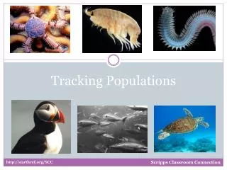 Tracking Populations