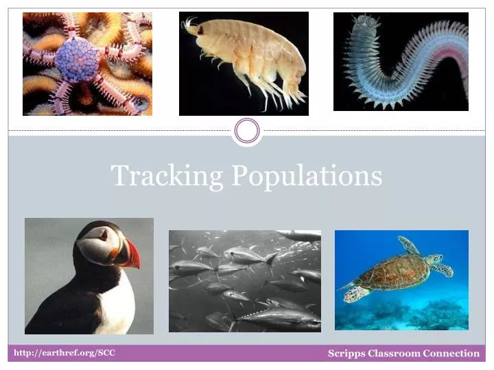 tracking populations
