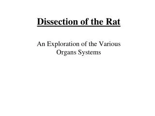 Dissection of the Rat