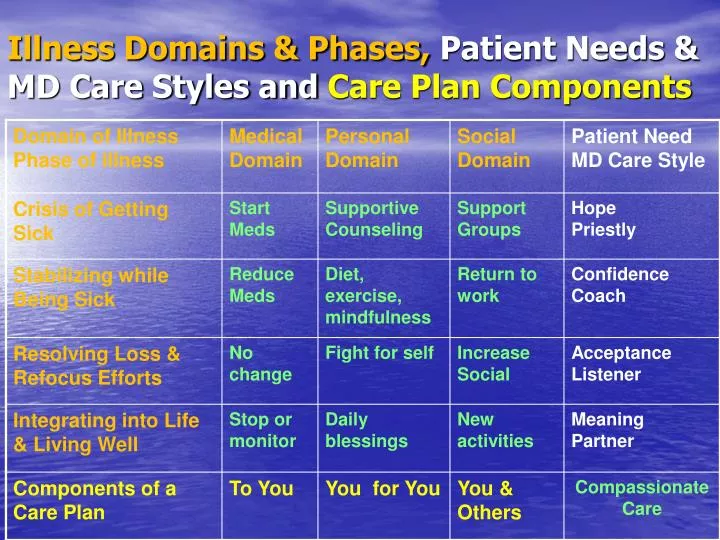 illness domains phases patient needs md care styles and care plan components