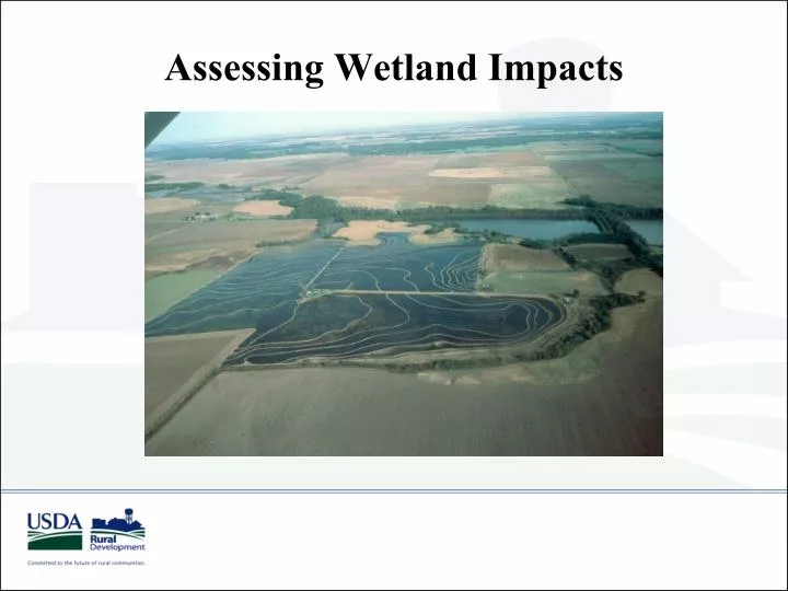 assessing wetland impacts