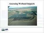 Assessing Wetland Impacts - slide 1