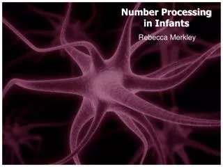 Number Processing in Infants