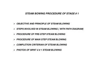 OBJECTIVE AND PRINCIPLE OF STEAM BLOWING STEPS INVOLVED IN STEAM BLOWING ( WITH PATH DIAGRAM)