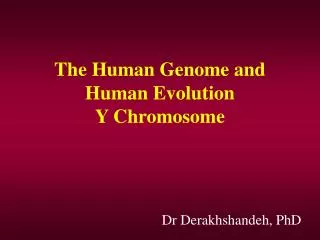 The Human Genome and Human Evolution Y Chromosome