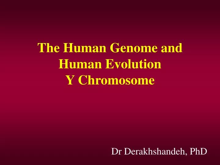 the human genome and human evolution y chromosome
