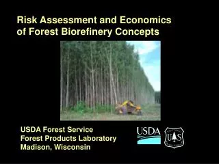 Risk Assessment and Economics of Forest Biorefinery Concepts