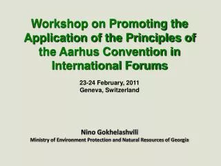 23-24 February, 2011 Geneva, Switzerland Nino Gokhelashvili