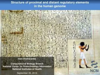 Structure of proximal and distant regulatory elements in the human genome