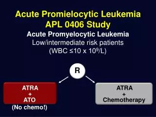 Acute Promielocytic Leukemia APL 0406 Study