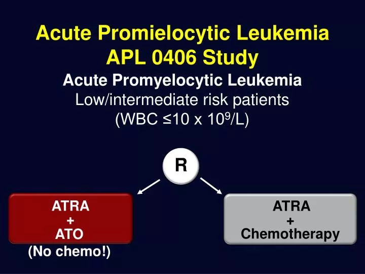 acute promielocytic leukemia apl 0406 study