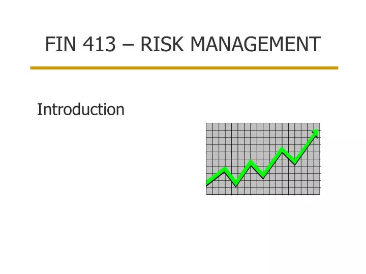fin 413 risk management