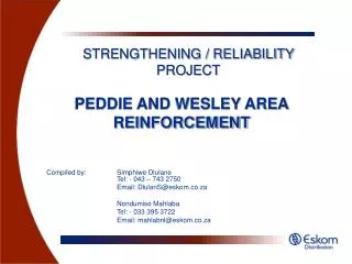 PEDDIE AND WESLEY AREA REINFORCEMENT