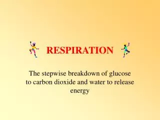 RESPIRATION