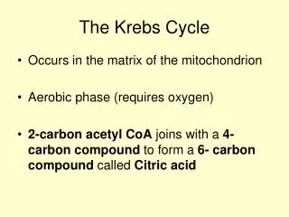 The Krebs Cycle