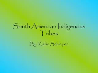 South American Indigenous Tribes