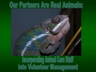Our Partners Are Real Animals: