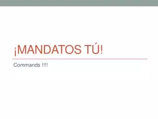 mandatos t