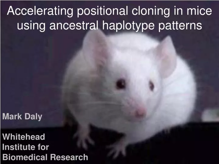 accelerating positional cloning in mice using ancestral haplotype patterns