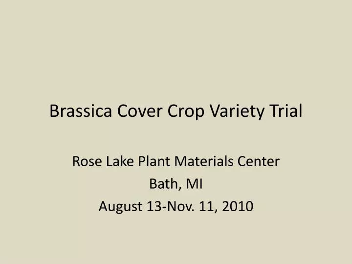 brassica cover crop variety trial