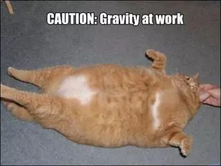 What is Gravity?